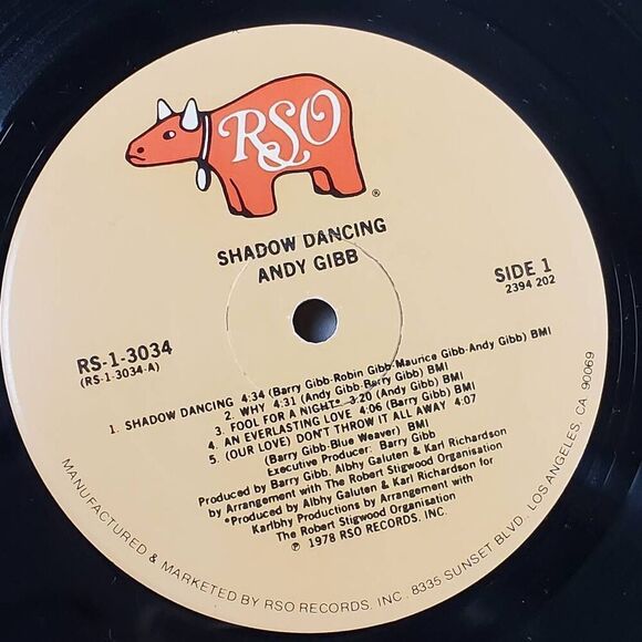 Andy Gibb - Shadow Dancing Vintage vinyl record, LP - Picture 5 of 6